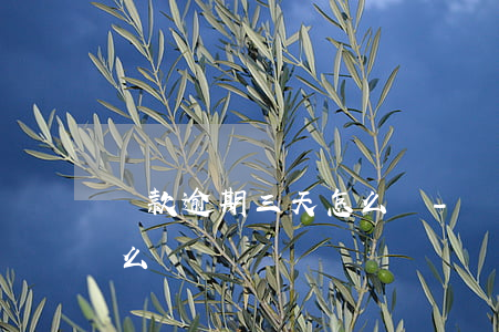 貸款逾期三天怎么辦-銀行貸款逾期三天怎么辦