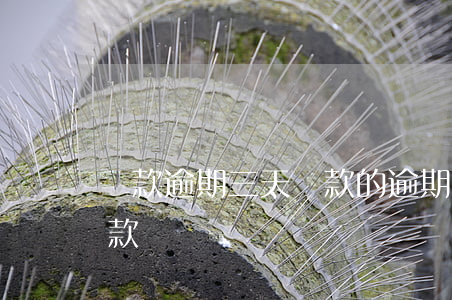 貸款逾期三天還款的(逾期三天后還了還能貸款嗎)