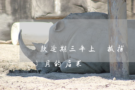 貸款逾期三年上門抓捕(貸款逾期3個(gè)月的后果)