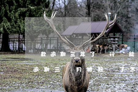 貸款逾期三年了銀行還能起訴嗎-銀行貸款逾期三個月被起訴了怎么辦