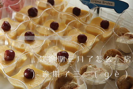貸款逾期三月了怎么辦(房貸已經(jīng)逾期了三個(gè)月,請問一下逾期多久)
