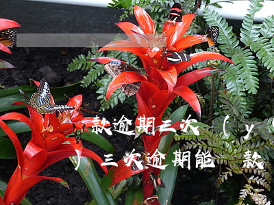 貸款逾期三次嚴(yán)重嗎(連續(xù)三次逾期能貸款嗎)