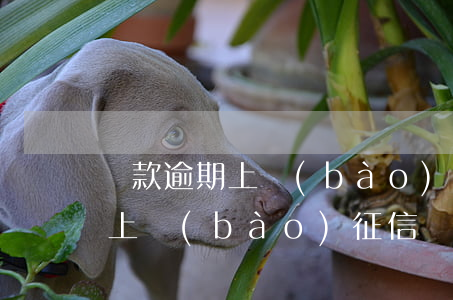 貸款逾期上報(bào)了怎么辦(貸款逾期上報(bào)征信會(huì)有什么結(jié)果)