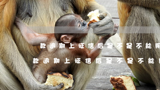 貸款逾期上征信后是不是不能用銀行卡?-貸款逾期上征信后是不是不能用銀行卡了