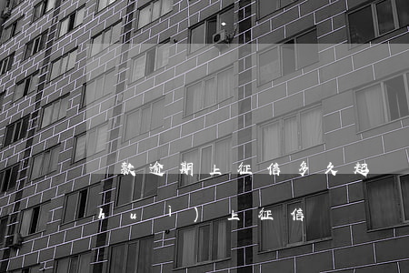 貸款逾期上征信多久起訴(貸款逾期幾天會(huì)上征信)