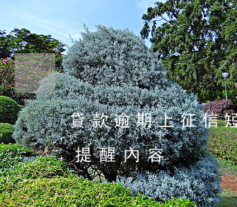 貸款逾期上征信短信通知(銀行貸款逾期短信提醒內容)