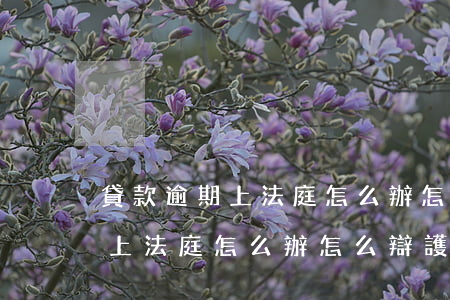 貸款逾期上法庭怎么辦 怎么辯護-貸款逾期上法庭怎么辦 怎么辯護呢