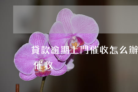 貸款逾期上門催收怎么辦(貸款逾期如何面對催收)