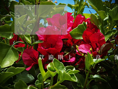 貸款逾期上門錄音錄像