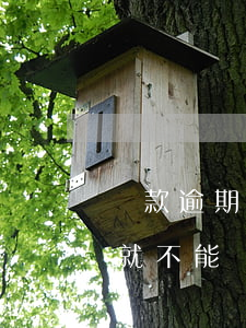 貸款逾期不再上傳征信(征信報告有幾次逾期就不能貸款了)