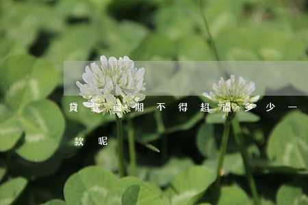 貸款逾期不得超過多少(一般逾期幾次不能貸款呢)