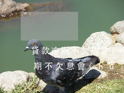 貸款逾期不欠息會(huì)起訴嗎(貸款逾期不欠息會(huì)起訴嗎)
