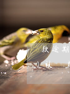 貸款逾期不知道被罰息(貸款逾期會(huì)被罰款嗎)