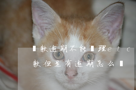 貸款逾期不能辦理etc(需要在銀行申請貸款但是有逾期怎么辦)