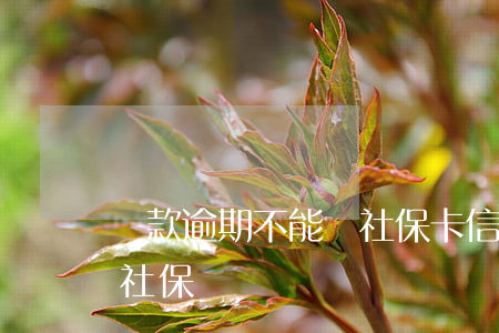貸款逾期不能辦社?？?信用卡逾期可以辦理社保嗎)