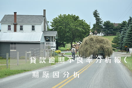 貸款逾期不良率分析報(bào)告(貸款逾期原因分析)