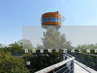 貸款逾期不超過5萬(貸款超過五萬不還怎么辦)