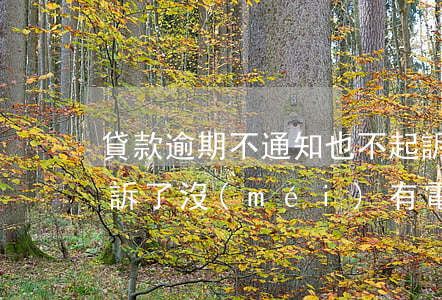 貸款逾期不通知也不起訴(貸款逾期了法院起訴了沒(méi)有電話(huà)通知怎么辦)