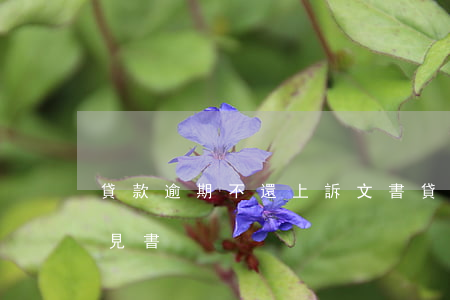 貸款逾期不還上訴文書(貸款逾期出具法律意見書)