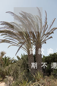 貸款逾期不還信用卡還能用嗎-用信用卡到期不還款以后還可以用嗎