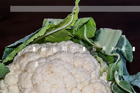 貸款逾期不還后果知乎(貸款逾期不還什么后果)