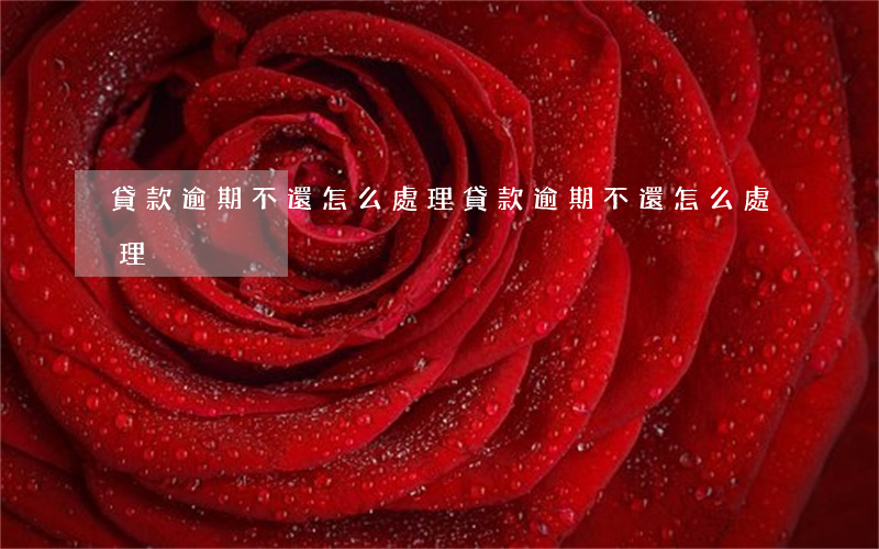 貸款逾期不還怎么處理(貸款逾期不還怎么處理)