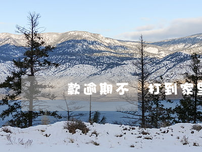 貸款逾期不還打到家里