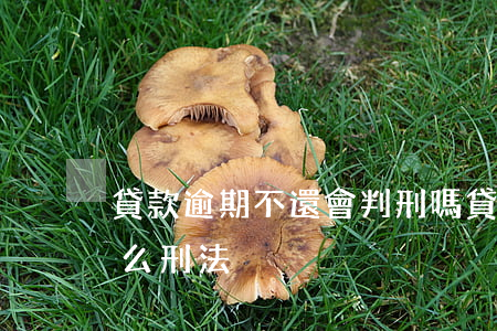貸款逾期不還會判刑嗎（貸款逾期不還涉及什么刑法）