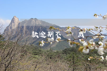 貸款逾期不還構成詐騙嗎(被詐騙導致的逾期)
