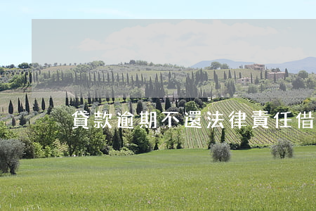 貸款逾期不還法律責任(借款逾期不還違法嗎)