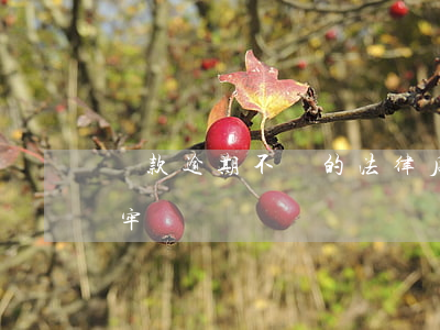 貸款逾期不還的法律后果(貸款逾期不還會坐牢嗎)