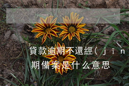貸款逾期不還經(jīng)偵備案(貸款逾期備案是什么意思)