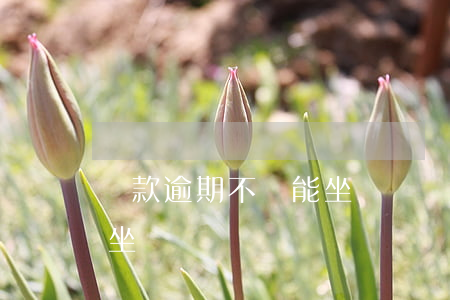 貸款逾期不還能坐飛機嗎(逾期多長時間不能坐飛機)