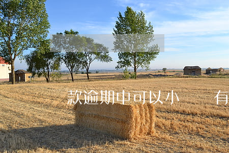 貸款逾期中可以小貸嗎(有嚴重逾期可以貸款嗎)