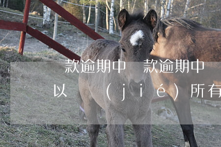 貸款逾期中(貸款逾期中國(guó)銀行可以凍結(jié)所有銀行卡支付寶微信嗎)