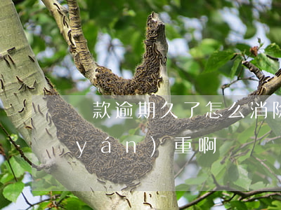 貸款逾期久了怎么消除(貸款逾期多久算嚴(yán)重啊)