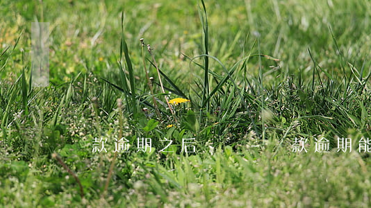貸款逾期之后過戶-貸款逾期能過戶房子嗎