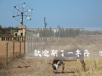貸款逾期了一年再還(逾期一年還能貸款嗎)