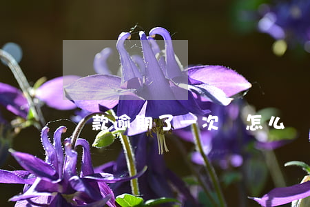 貸款逾期了一次會怎么樣