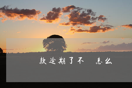 貸款逾期了不還怎么辦