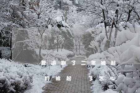 貸款逾期了二年被起訴(銀行信用貸款逾期兩個月被起訴了怎么辦)