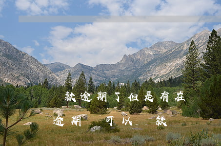 貸款逾期了但是有在還(當(dāng)前有逾期還可以貸款嗎)