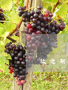 貸款逾期了信用卡沒(méi)下來(lái)