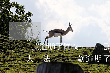 貸款逾期了催收騷擾緊急聯(lián)系人違法嗎-貸款逾期了催收騷擾緊急聯(lián)系人違法嗎
