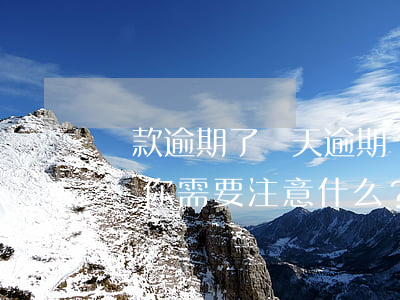 貸款逾期了兩天，逾期兩天：貸款問(wèn)題你需要注意什么？