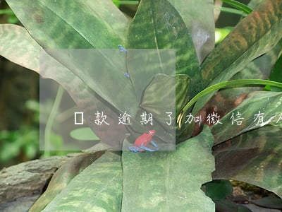 貸款逾期了加微信(有人加微信處理逾期貸款)