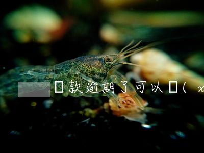 貸款逾期了可以協(xié)商還款嗎