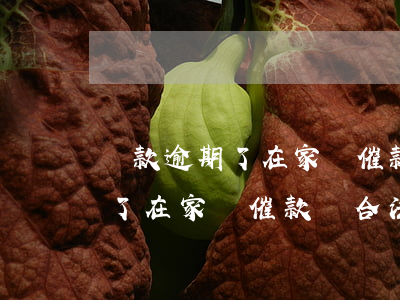 貸款逾期了在家貼催款單合法嗎-貸款逾期了在家貼催款單合法嗎安全嗎