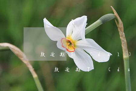 貸款逾期了對(duì)家人有什么影響嗎-貸款逾期了對(duì)家人有什么影響嗎知乎