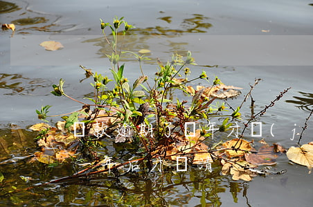 貸款逾期了幾年才結(jié)清(貸款逾期一年后才還清)
